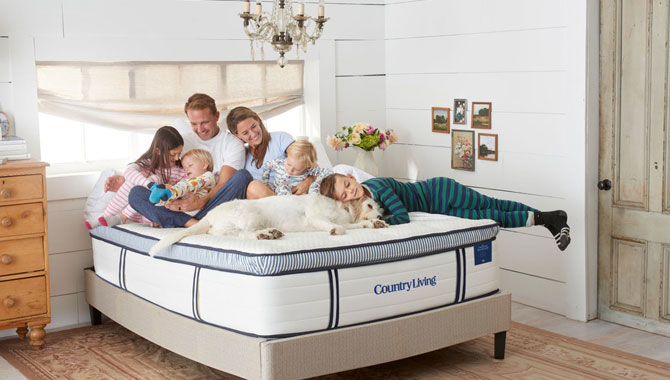 Hearst, Idle Group, Country Living