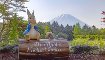 Penguin Ventures, Peter Rabbit, Sony Creative Products, David Sprei, Ken Ohtake, Experiences