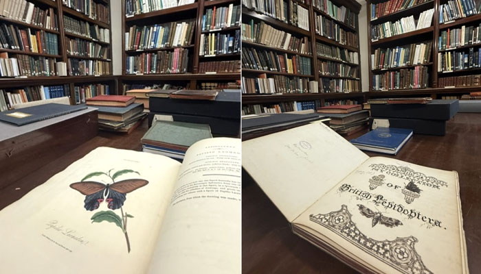 Royal Entomological Society