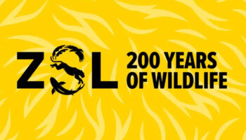 ZSL, Abbie Taylor, Claire Potter