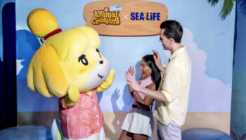 Animal Crossing, Sea Life