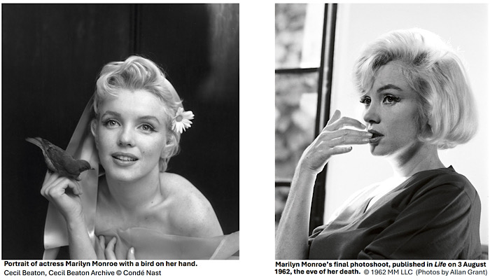 Alice Bowden, Marilyn Monroe